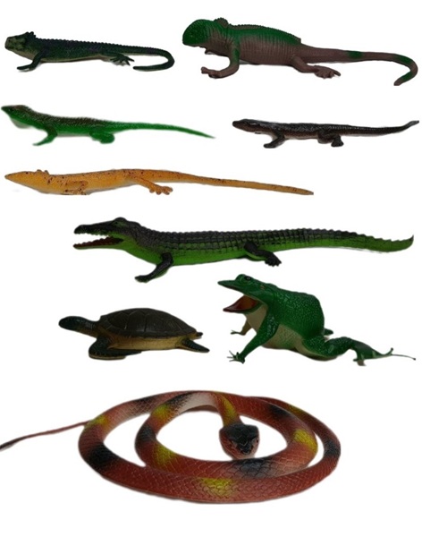 ست خزنده ۹ تایی مدل HB21201