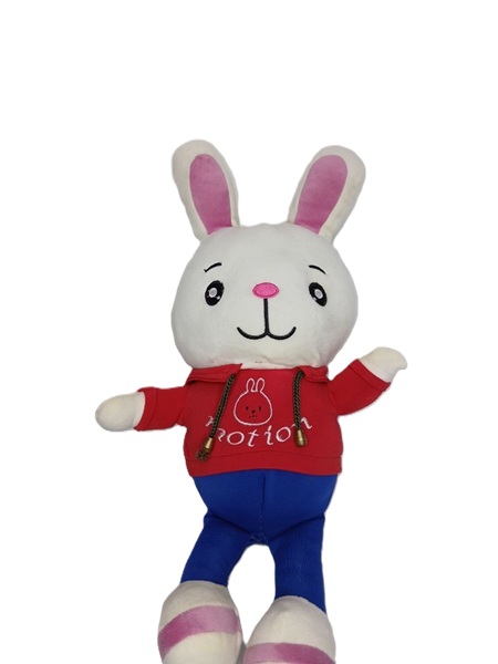 خرگوش نانو لباس‌پوش