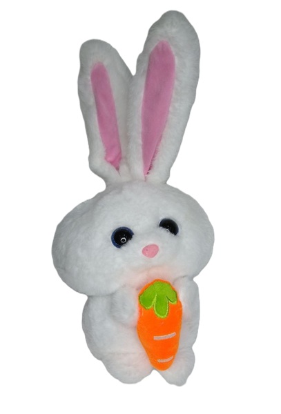 خرگوش هویج‌به‌دست