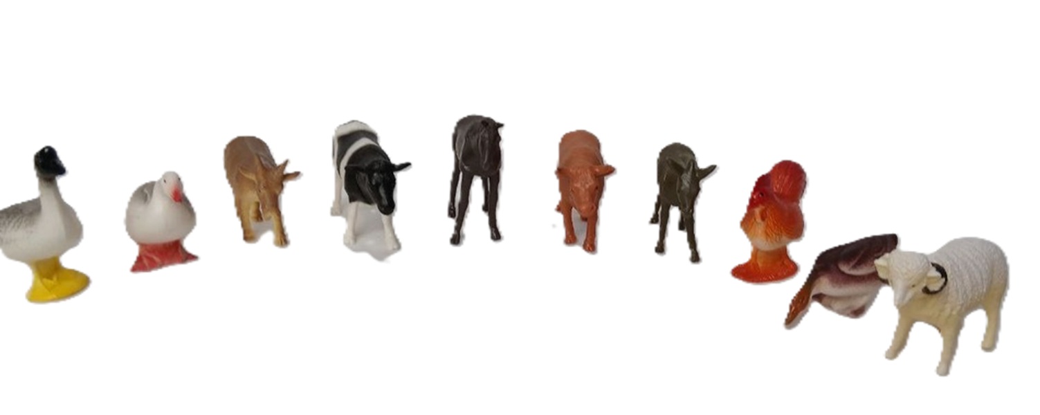 باغ وحش ۱۰تایی اهلی